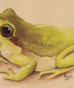 Alternative view of La grenouille – ENCRE ORIGINALE